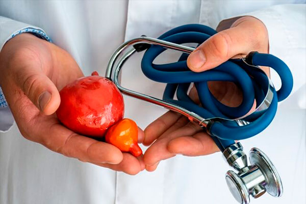 Qué hacer después de la prostatectomía